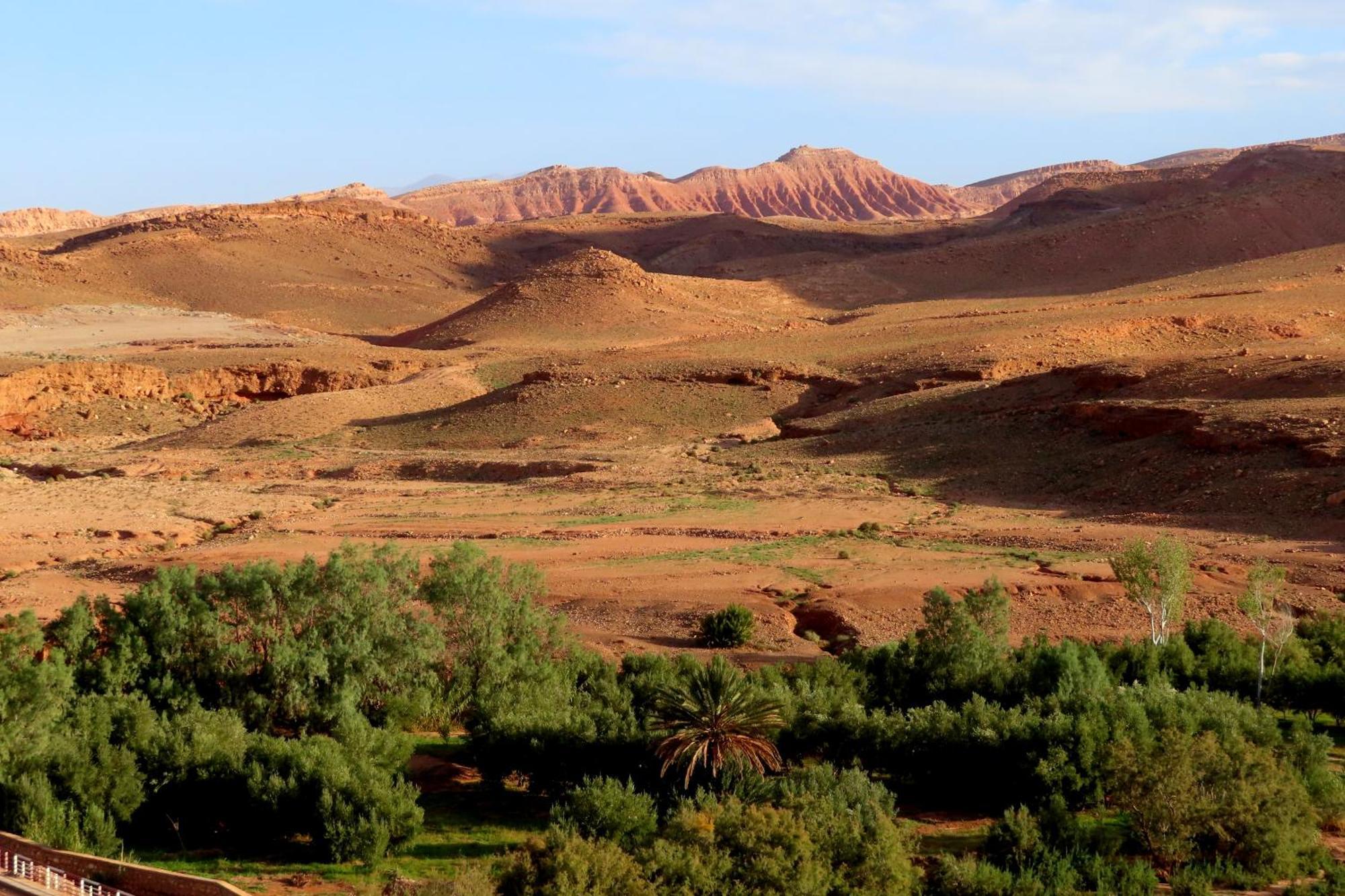 Tigmi Hamid Decouverte Des Traditions Et De La Culture Berbere Ait Benhaddou Buitenkant foto