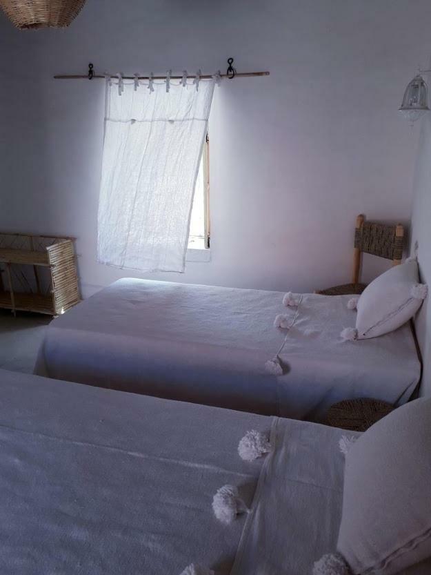 Tigmi Hamid Decouverte Des Traditions Et De La Culture Berbere Ait Benhaddou Buitenkant foto